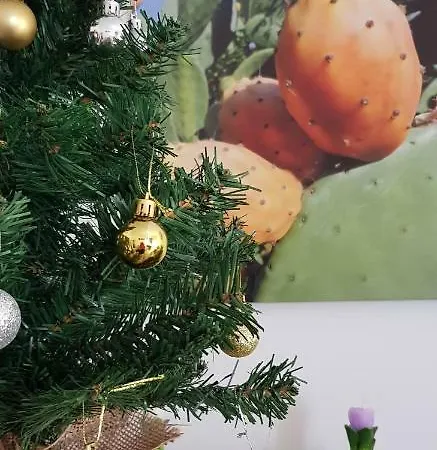 La Fleur Konukevi Siraküza