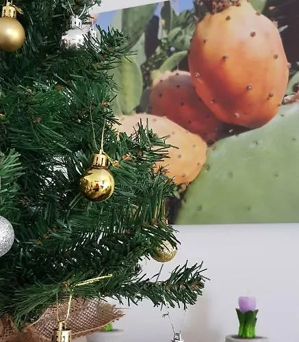 La Fleur Affittacamere Syracuse